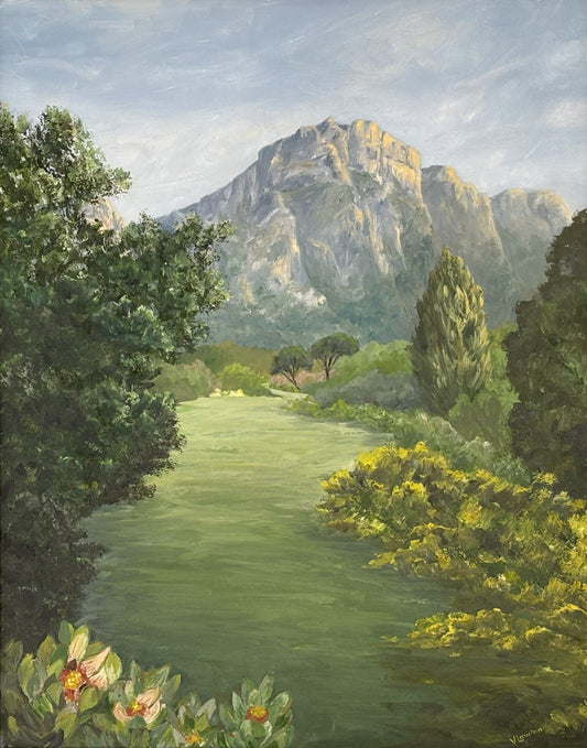 Kirstenbosch Mountain View