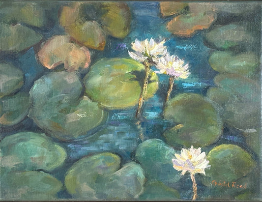 Lily Pond