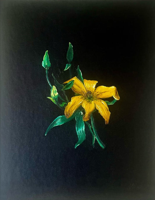 Yellow Lily Botanical