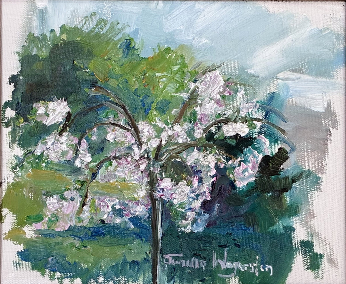 Spring Blossoms