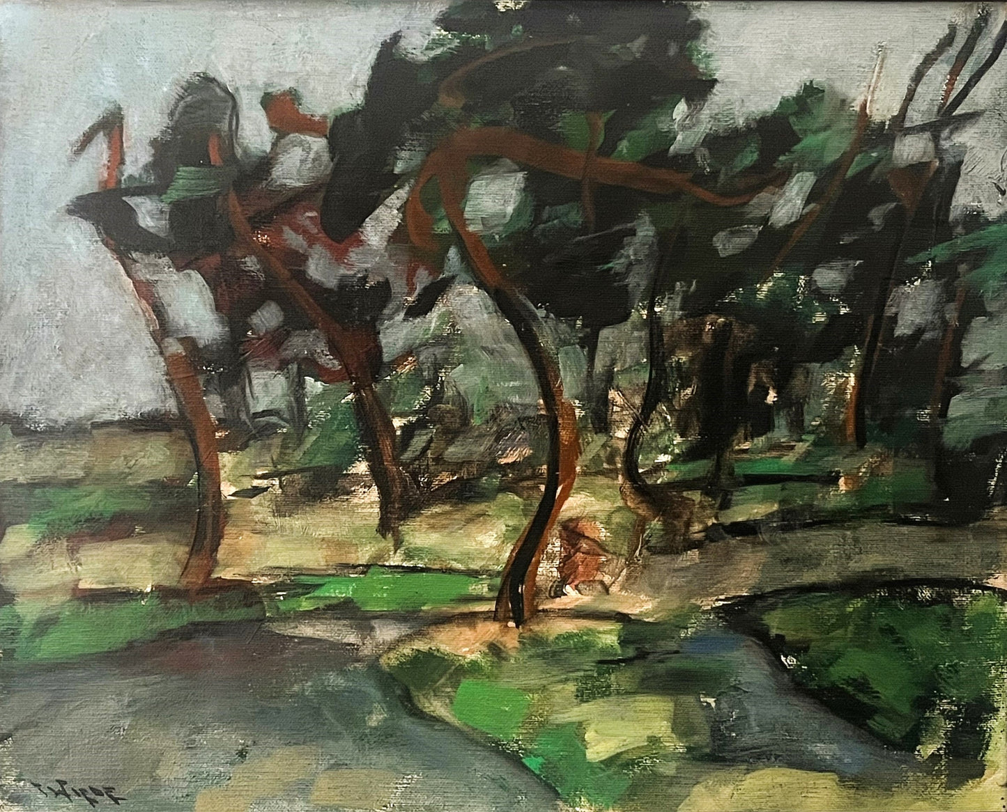 Windblown Trees