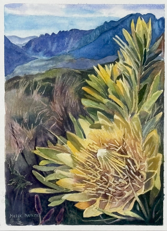 Yellow Protea Watercolour