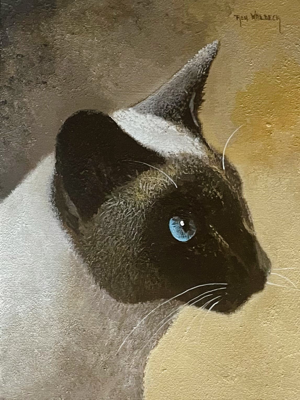 Pair of Cat Portraits