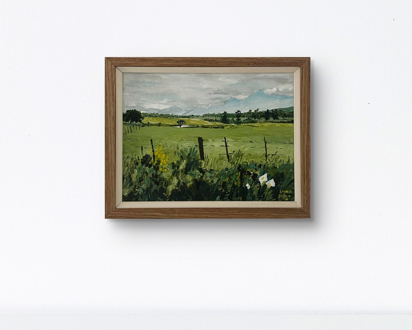 Green Meadow