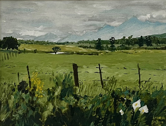 Green Meadow