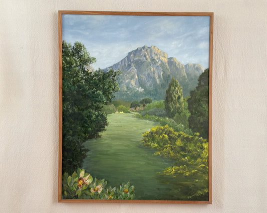 Kirstenbosch Mountain View
