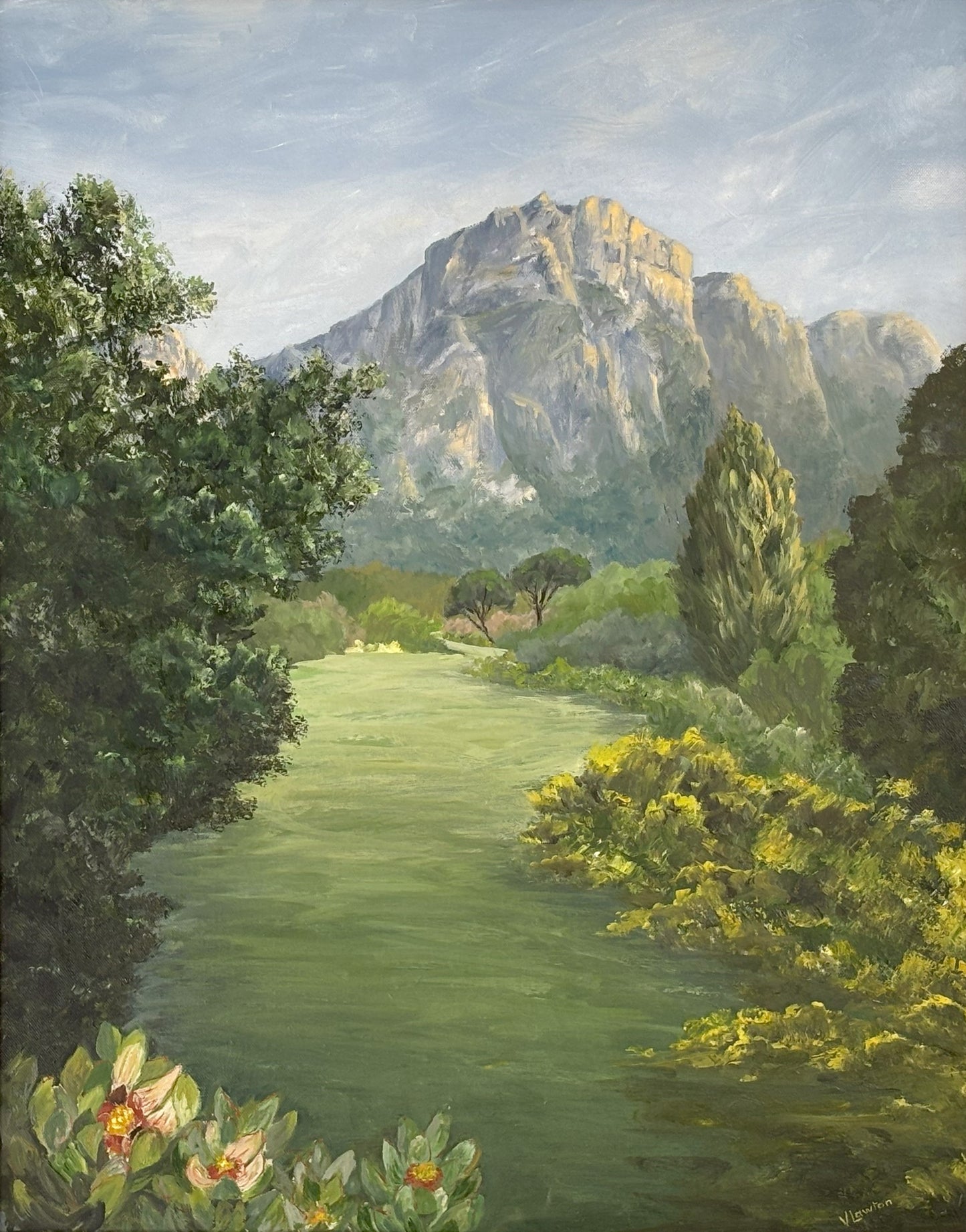 Kirstenbosch Mountain View
