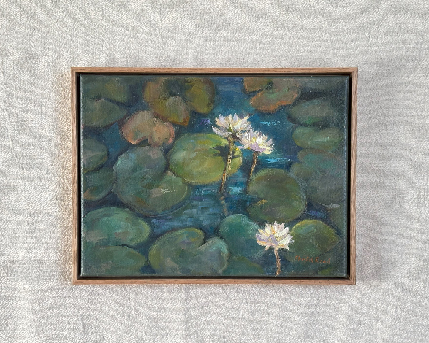 Lily Pond