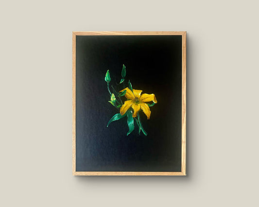 Yellow Lily Botanical