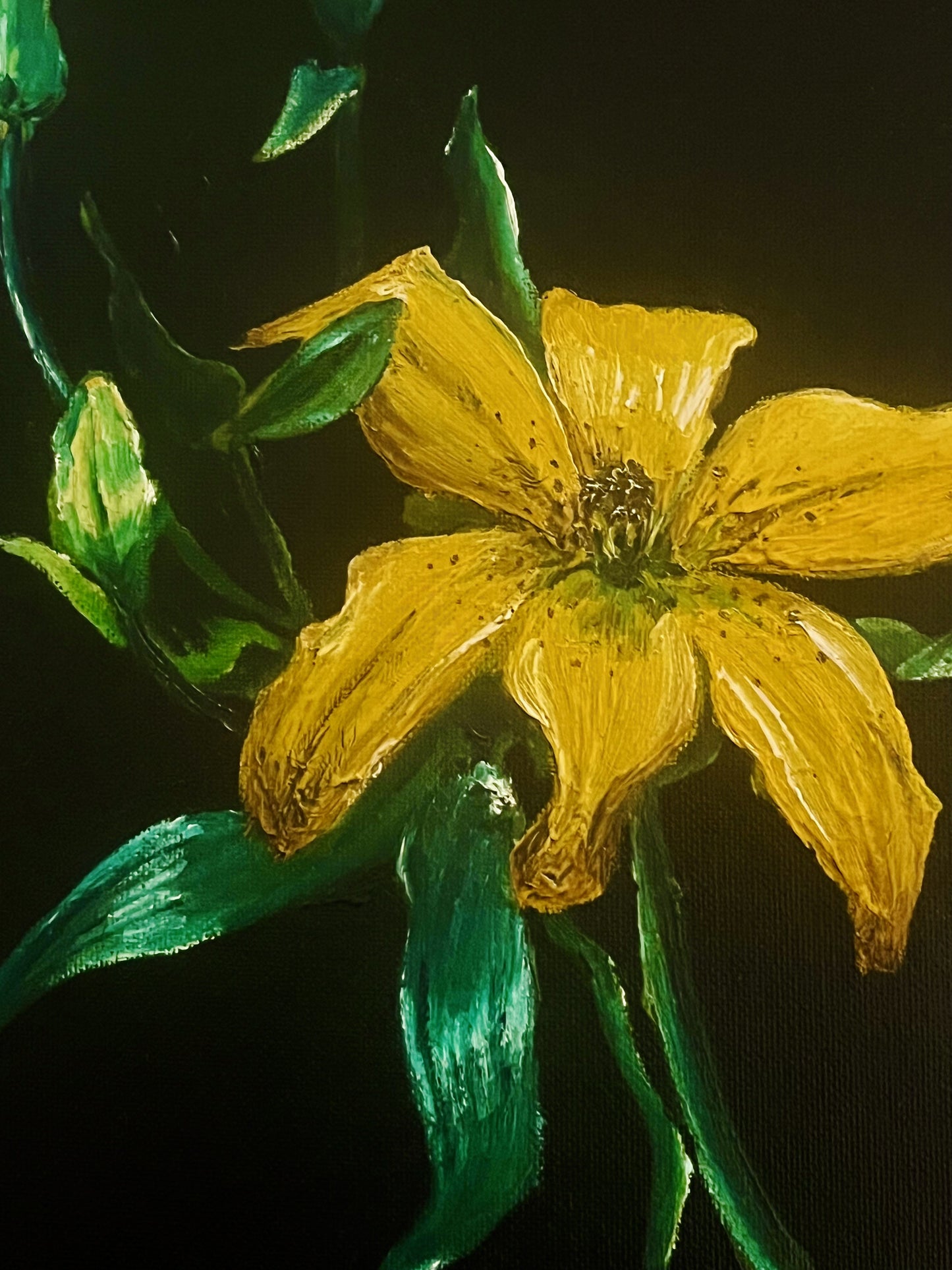 Yellow Lily Botanical