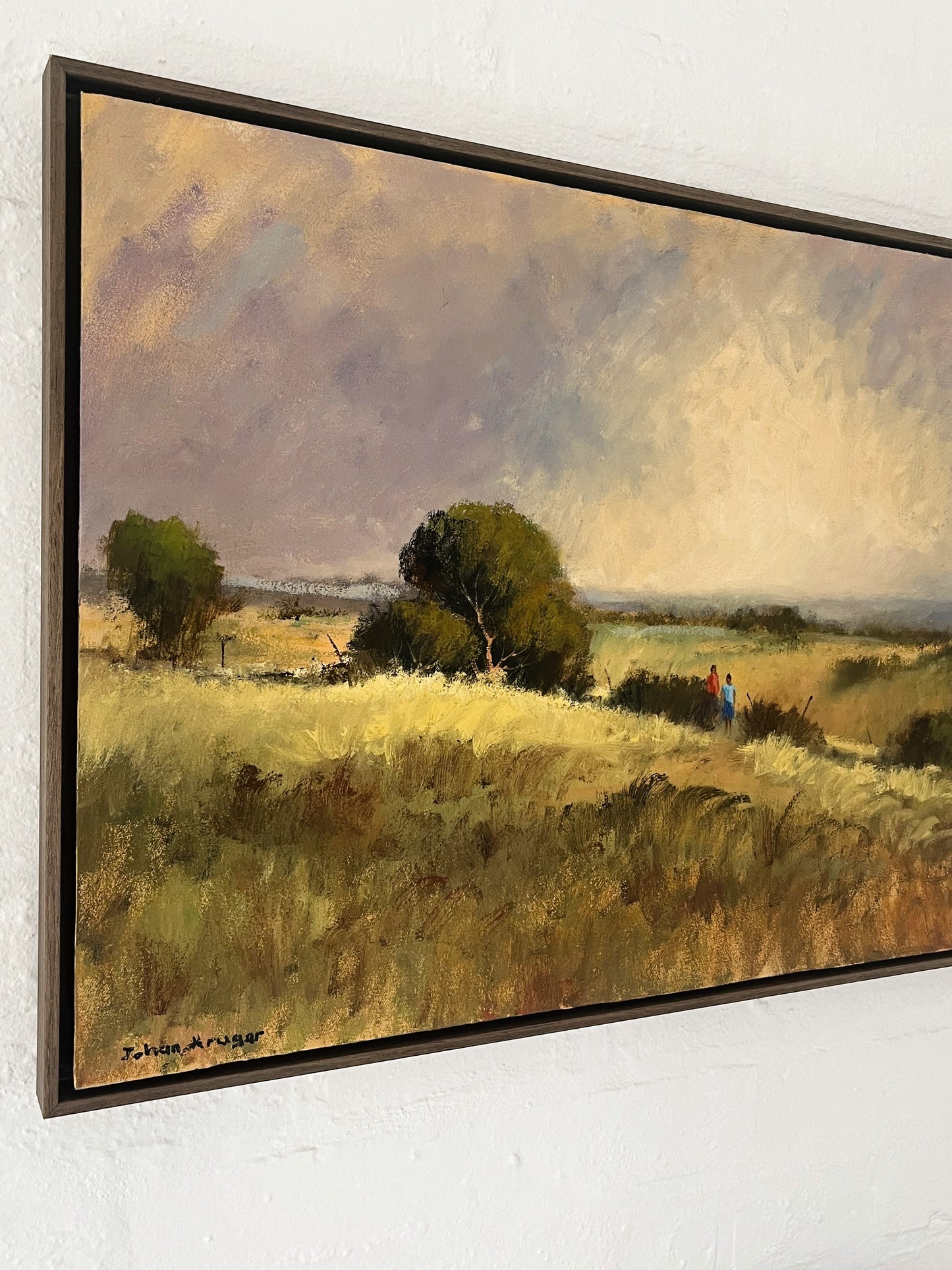 Sunset landscape