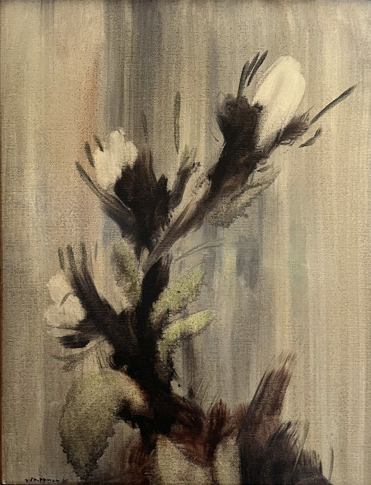 White Protea