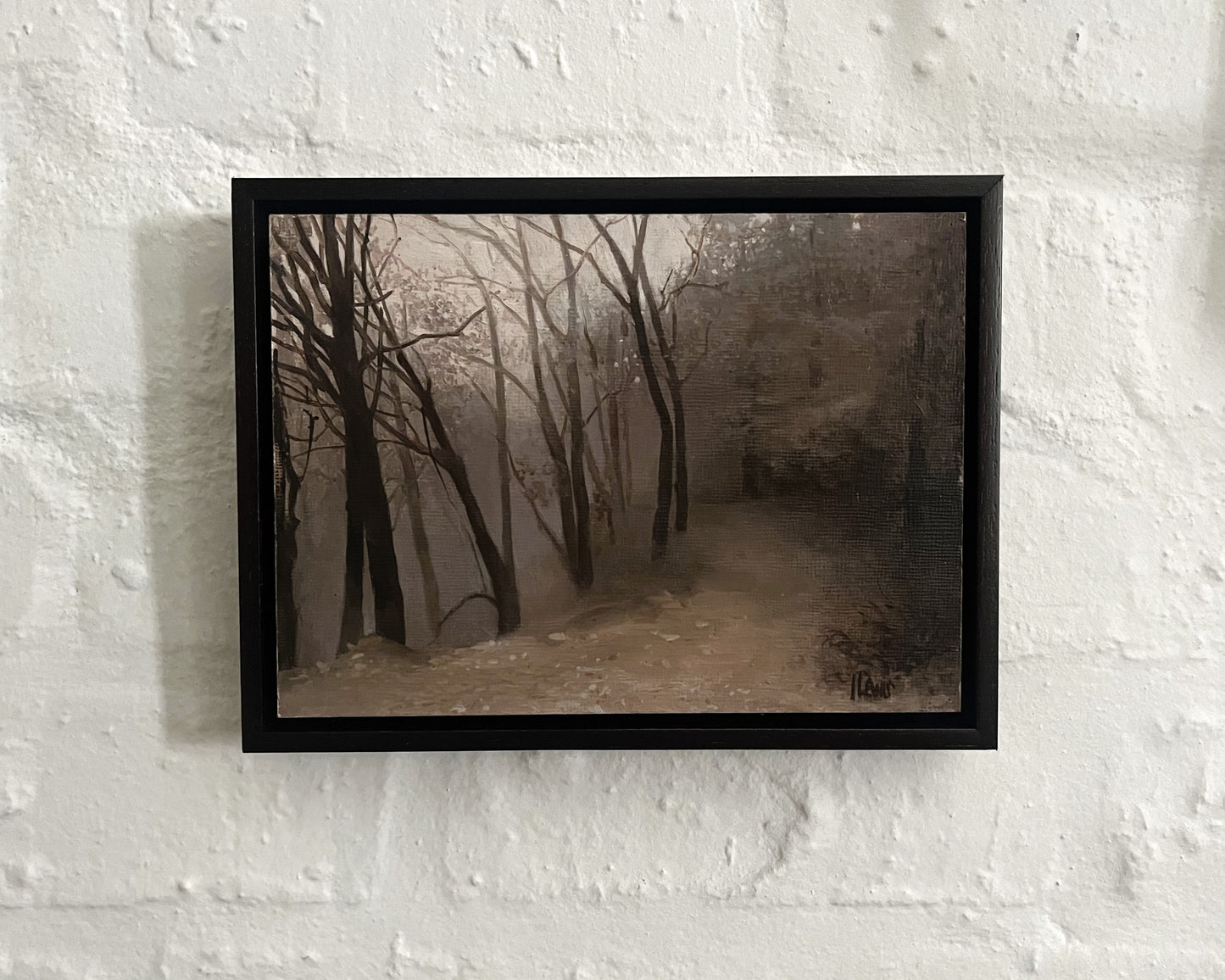 Misty Woodland
