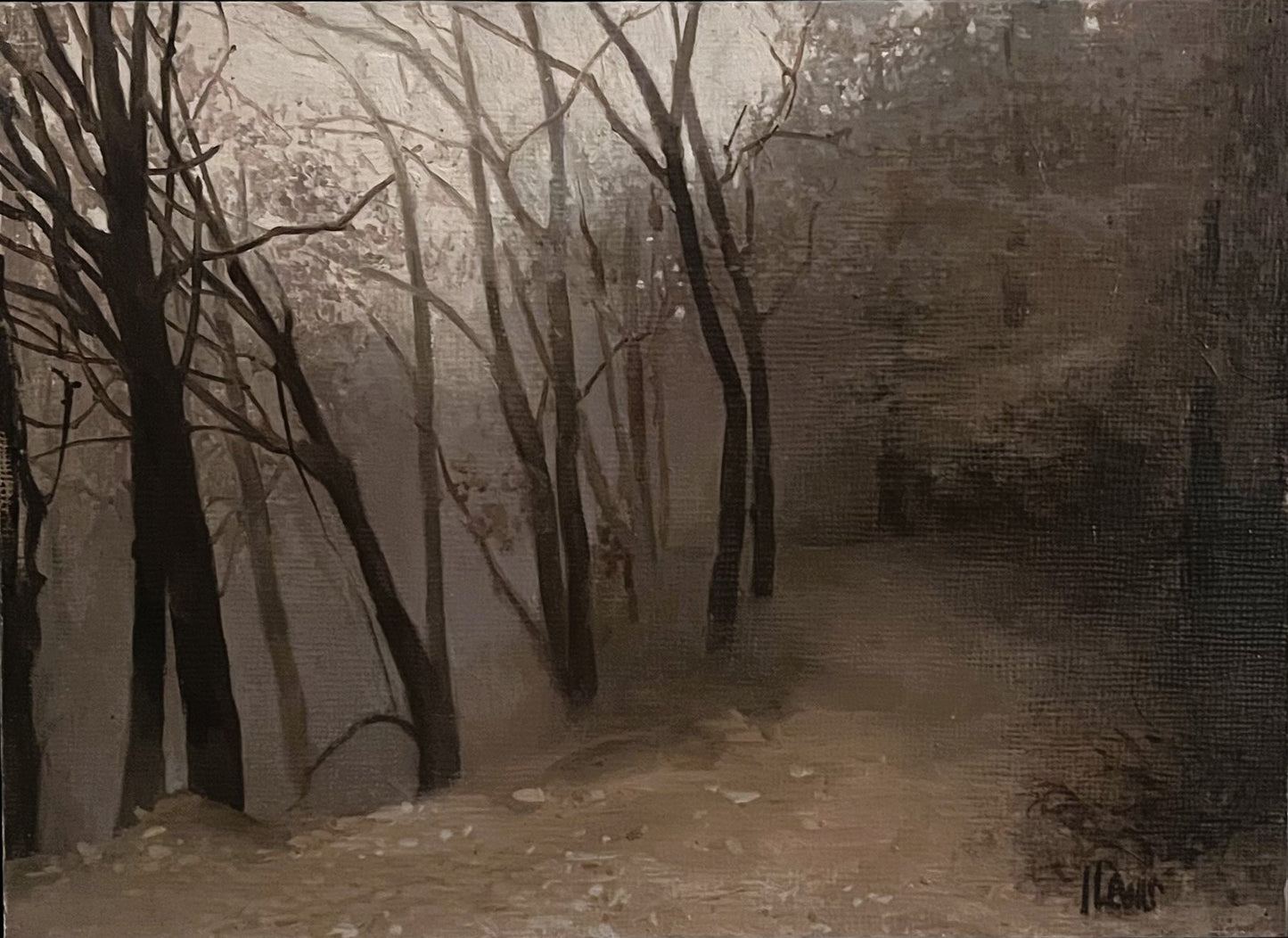 Misty Woodland