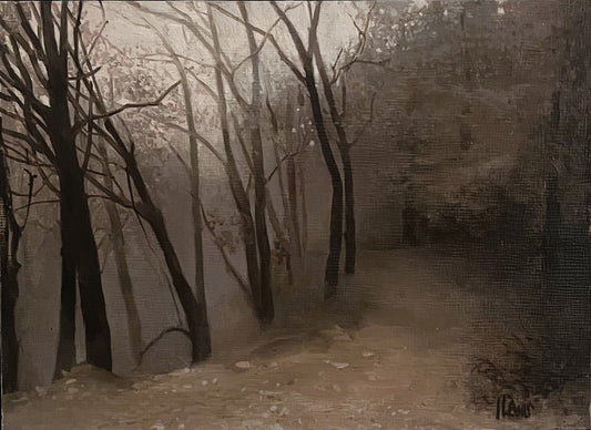 Misty Woodland