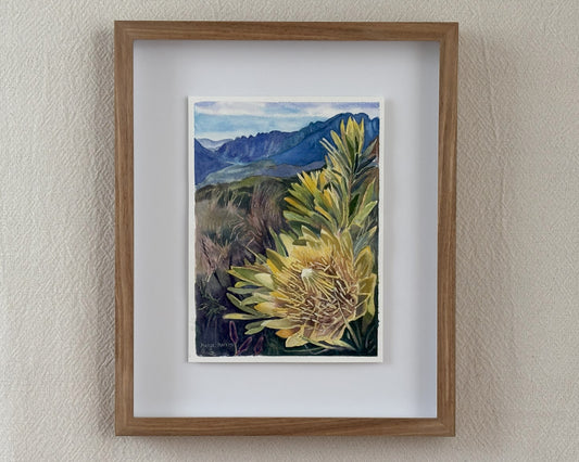 Yellow Protea Watercolour